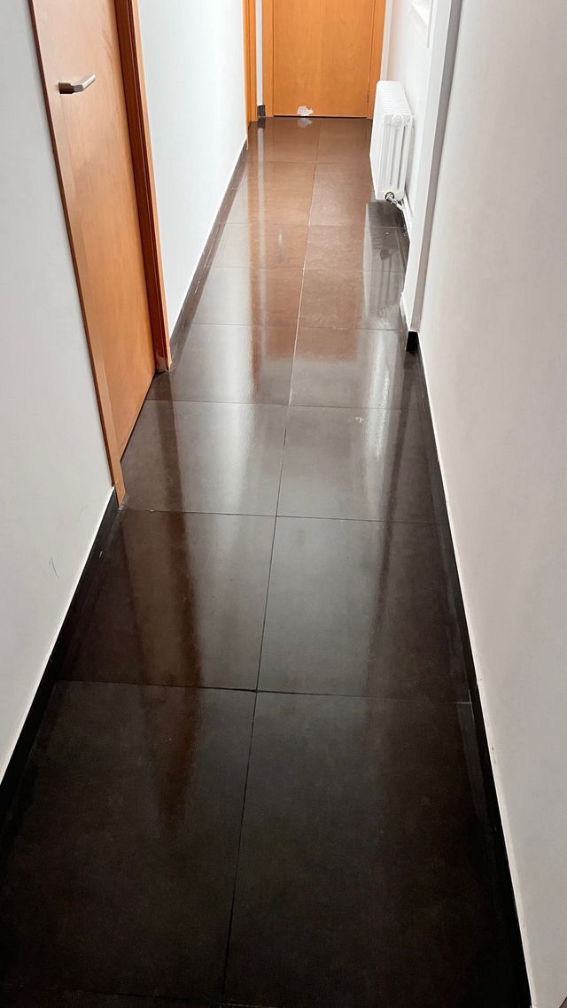 Personal de limpieza