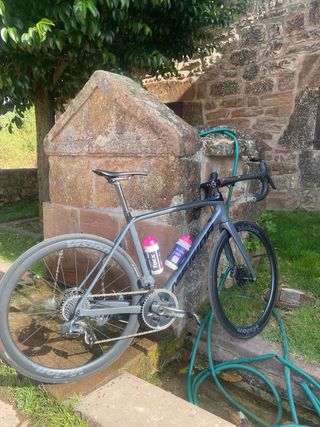Merida Scultura Disc Force-Edition.
