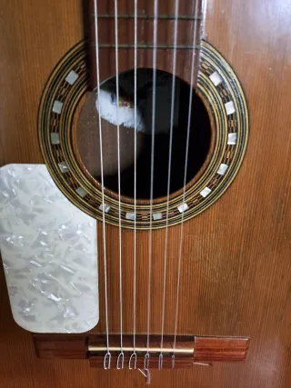 vendo Guitarra española flamenca