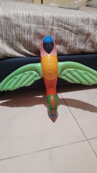 Gonfiabili da piscina