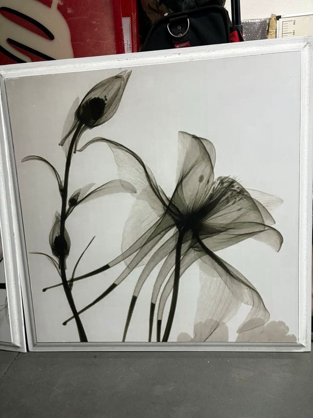 2 Cuadros Flores - Decoración