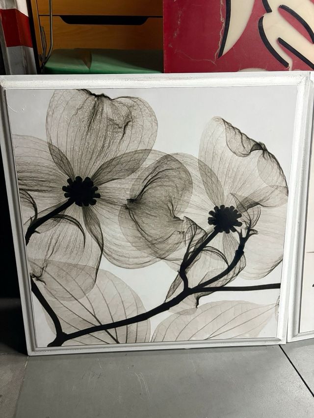 2 Cuadros Flores - Decoración