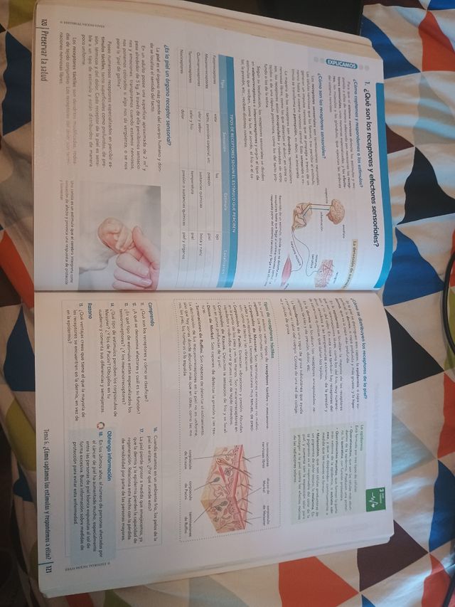 BIOLOGIA Y GEOLOGIA 3 (COMUNIDAD EN RED)
