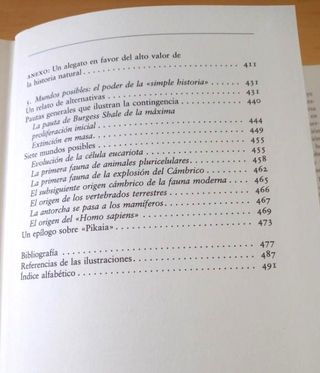 LA VIDA MARAVILLOSA S. JAY GOULD (OPERA MUNDI)