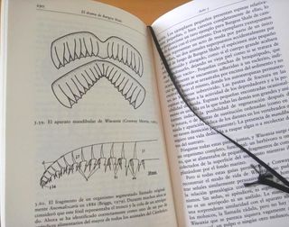 LA VIDA MARAVILLOSA S. JAY GOULD (OPERA MUNDI)