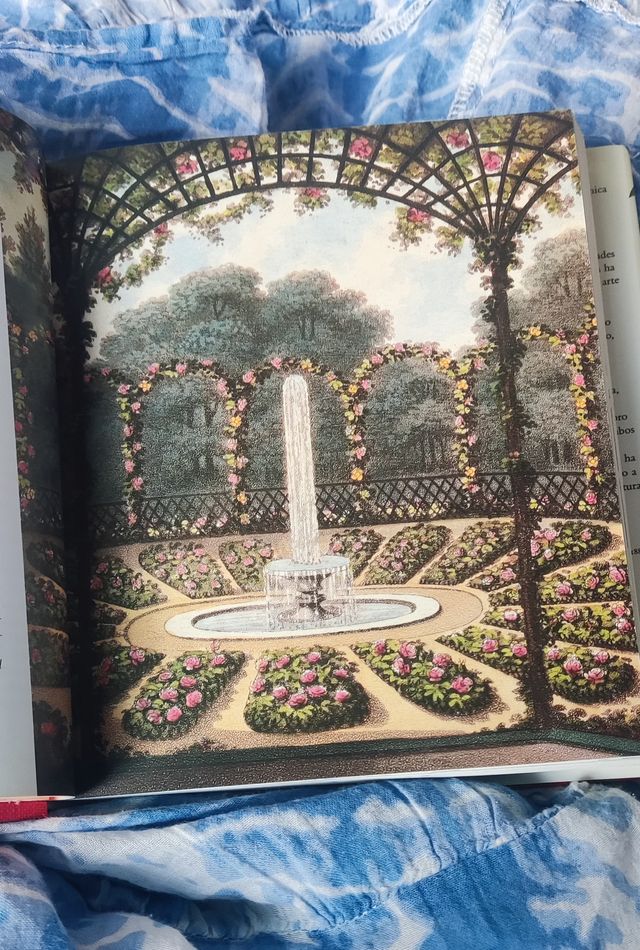 ROSA UNA HERENCIA DE COLOR, LA