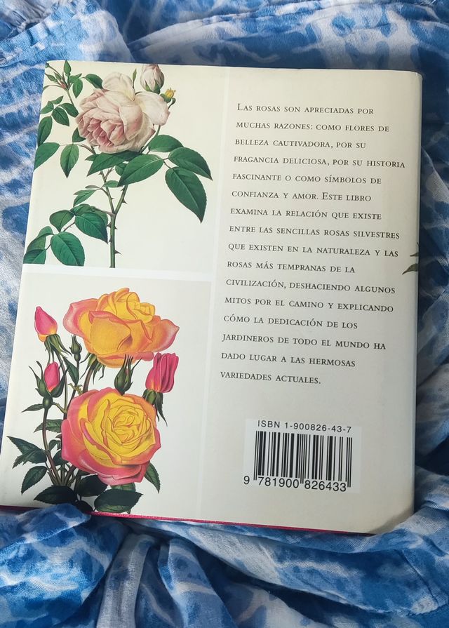 ROSA UNA HERENCIA DE COLOR, LA