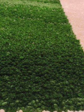 Alfombra rectangular - Verde y beige