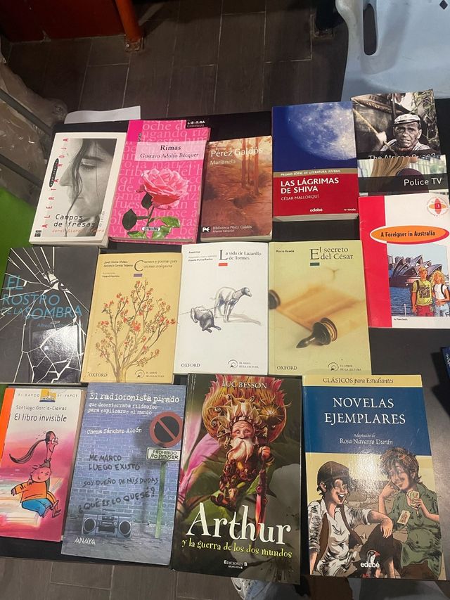 Lote libros