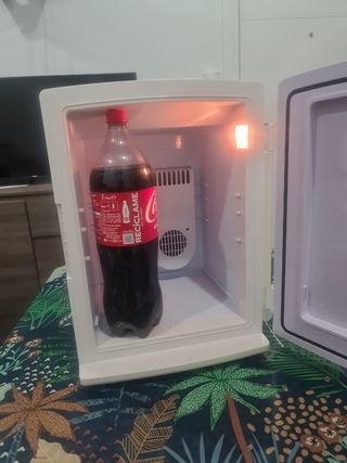 Nevera portátil pequeña
