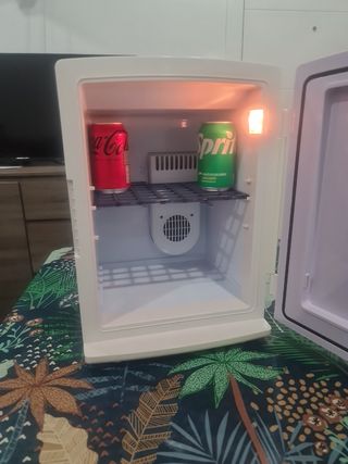 Nevera portátil pequeña
