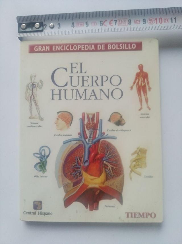 EL CUERPO HUMANO (EN EL BOLSILLO)