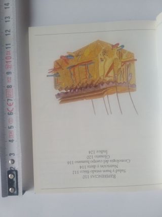 EL CUERPO HUMANO (EN EL BOLSILLO)