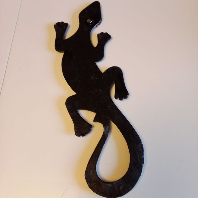 Geko madeira multicolorida