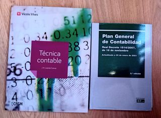 TECNICA CONTABLE (F.P. GRADO MEDIO) (Spanish Ed...