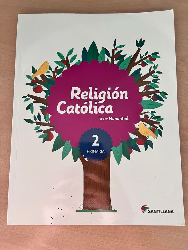 RELIGION CATOLICA SERIE MANANTIAL 2 PRIMARIA