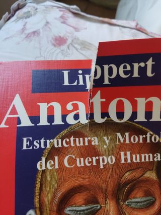 Anatomia 4b* Ed. - Estructura y Morfologia del ...