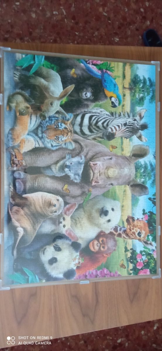 Puzzle 1000 piezas animales