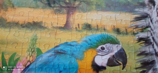 Puzzle 1000 piezas animales