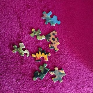 Puzzle 300 piezas grandes marca SunsOut