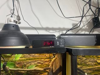 Terrarios de malla para camaleones