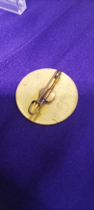 Pin Falange Española