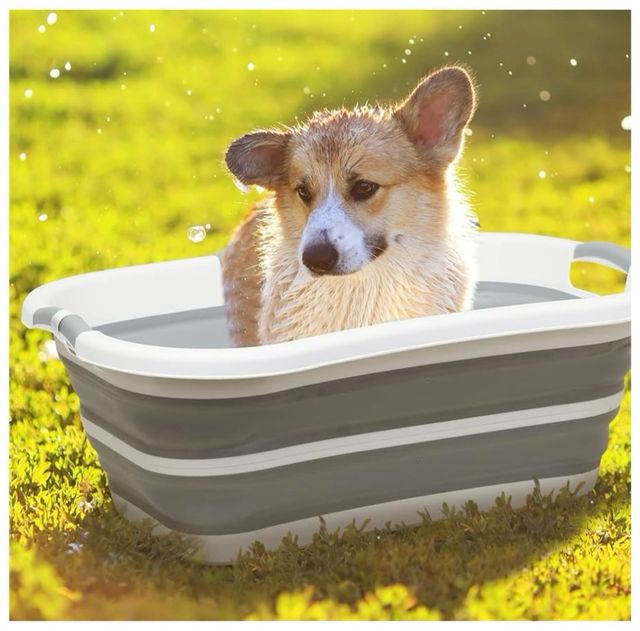 Bañera plegable para mascotas Beberoad - miniatura 3