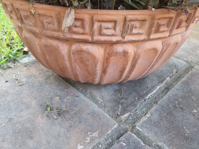 Maceta Terracota con planta