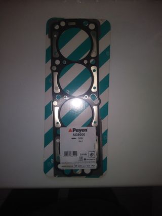 Guarnizione testata Payen ag8000 per vari modelli.