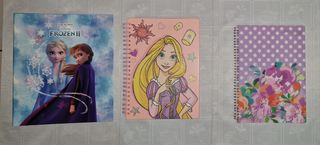 Set raccoglitore e quaderni ad anelli 
