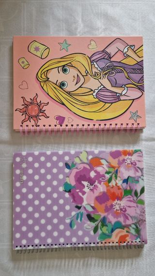 Set raccoglitore e quaderni ad anelli 
