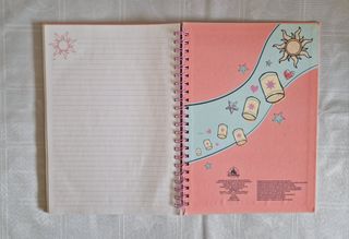Set raccoglitore e quaderni ad anelli 