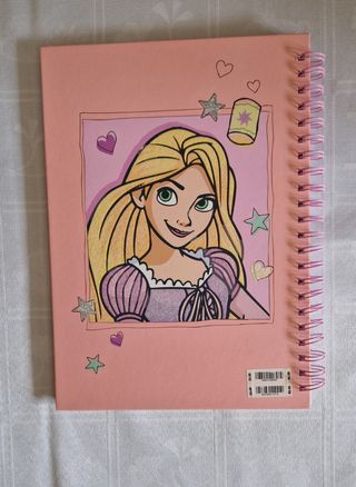 Set raccoglitore e quaderni ad anelli 