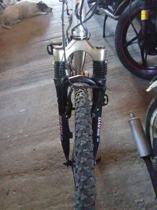 Bicicleta Strong montaña