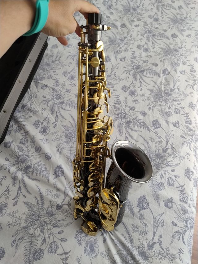 Saxofón Alto Roy Benson AS-101K