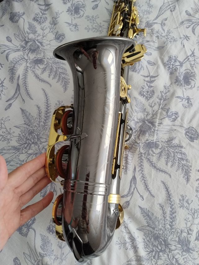 Saxofón Alto Roy Benson AS-101K