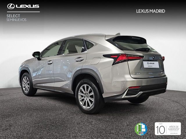 Lexus NX 2.5 300h Business 2WD