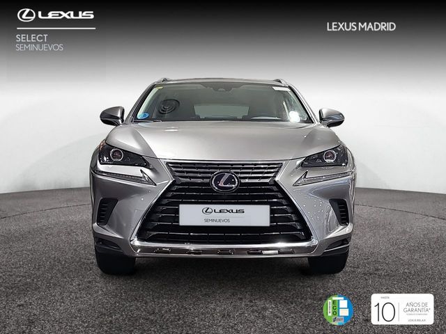 Lexus NX 2.5 300h Business 2WD