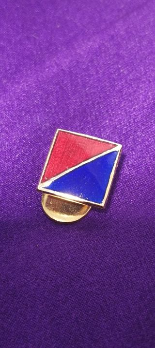 Pin Solapa Fuerza Nueva -  Etiqueta