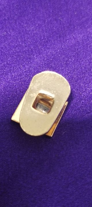 Pin Solapa Fuerza Nueva -  Etiqueta