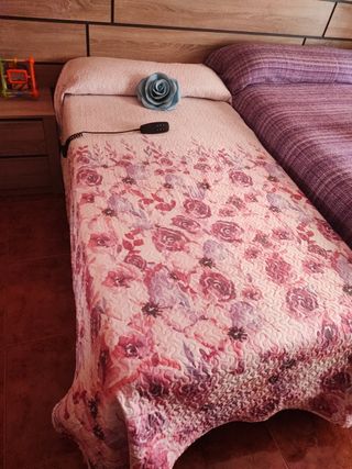 Cama articulada con colchón