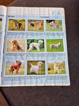 Álbum COMPLETO Panini Animales Domésticos