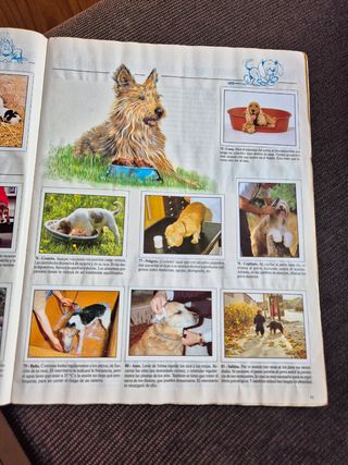 Álbum COMPLETO Panini Animales Domésticos