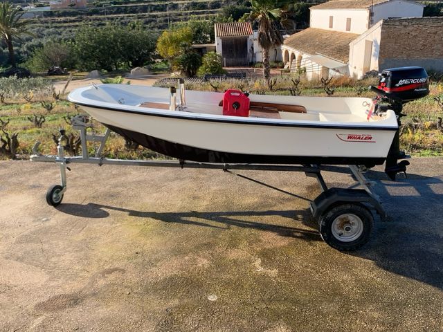 Barco Boston Whaler