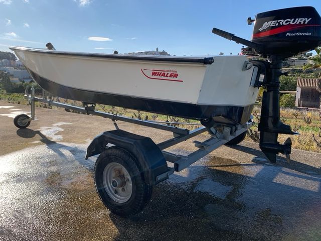 Barco Boston Whaler