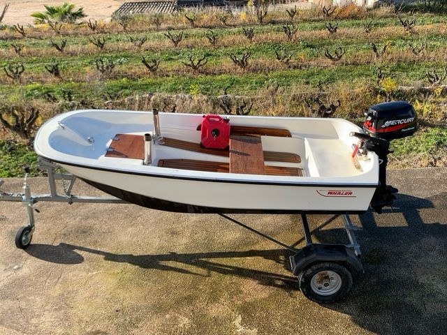 Barco Boston Whaler