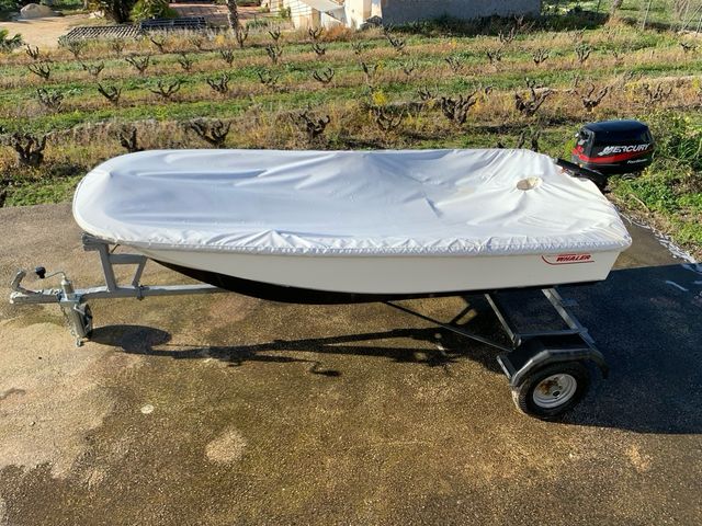 Barco Boston Whaler