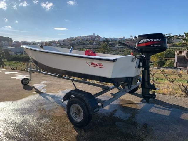 Barco Boston Whaler