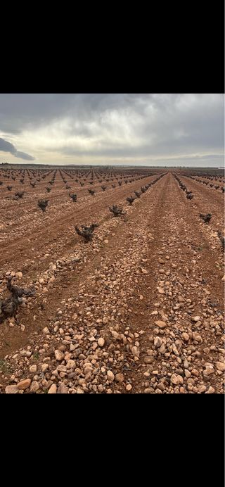 trabajos agricolas 