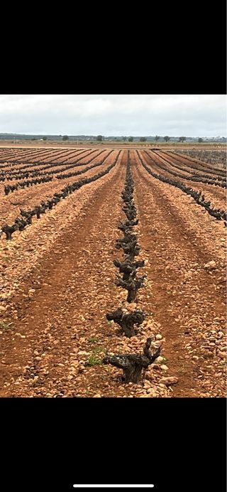 trabajos agricolas 